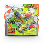 HEXBUG Real Life Bugs 5 Pack - Toyworld Australia