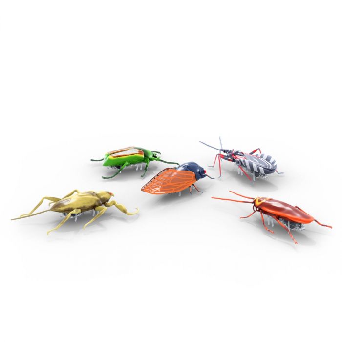 HEXBUG Real Life Bugs 5 Pack - Toyworld Australia