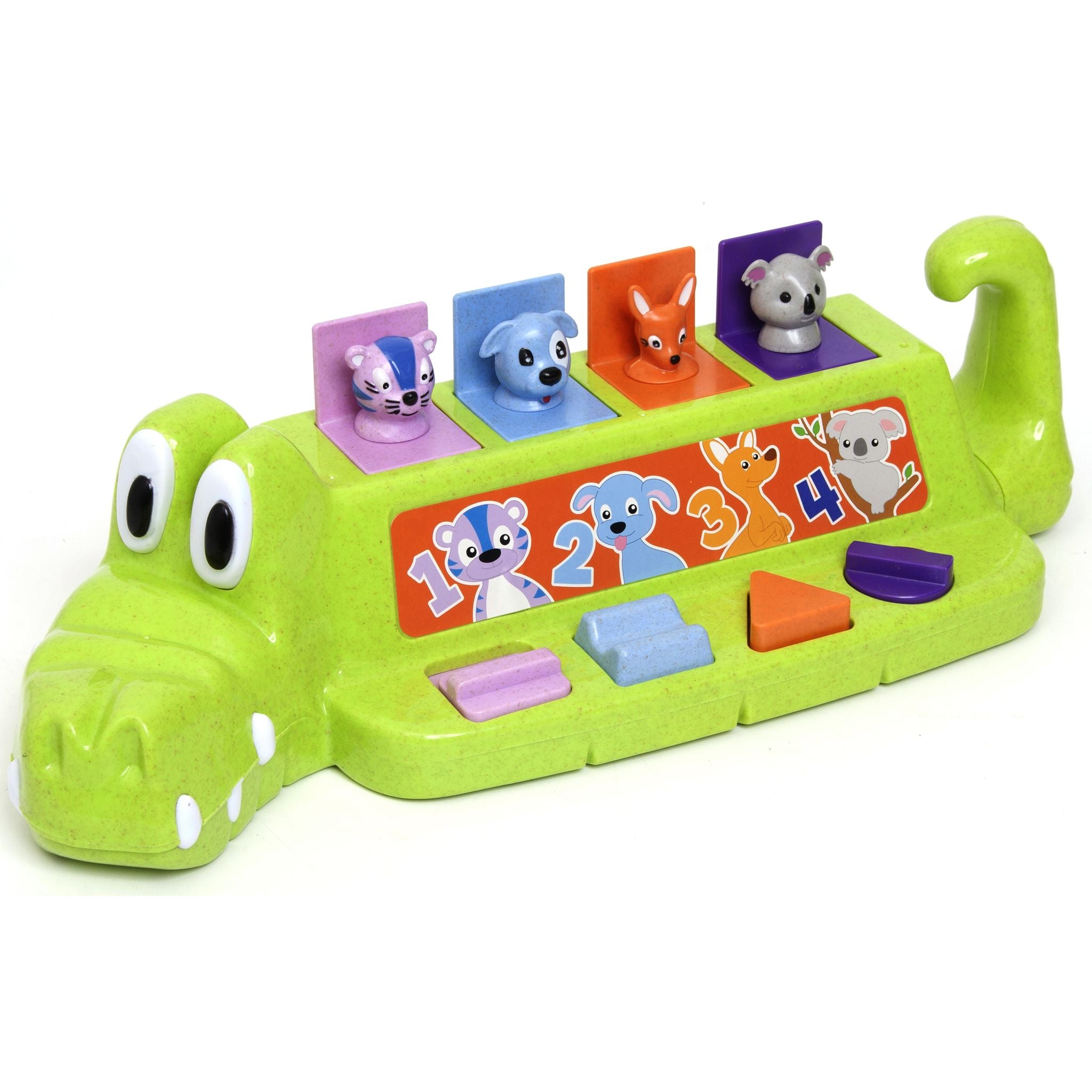 Roo Crew Crocodile Pop Up