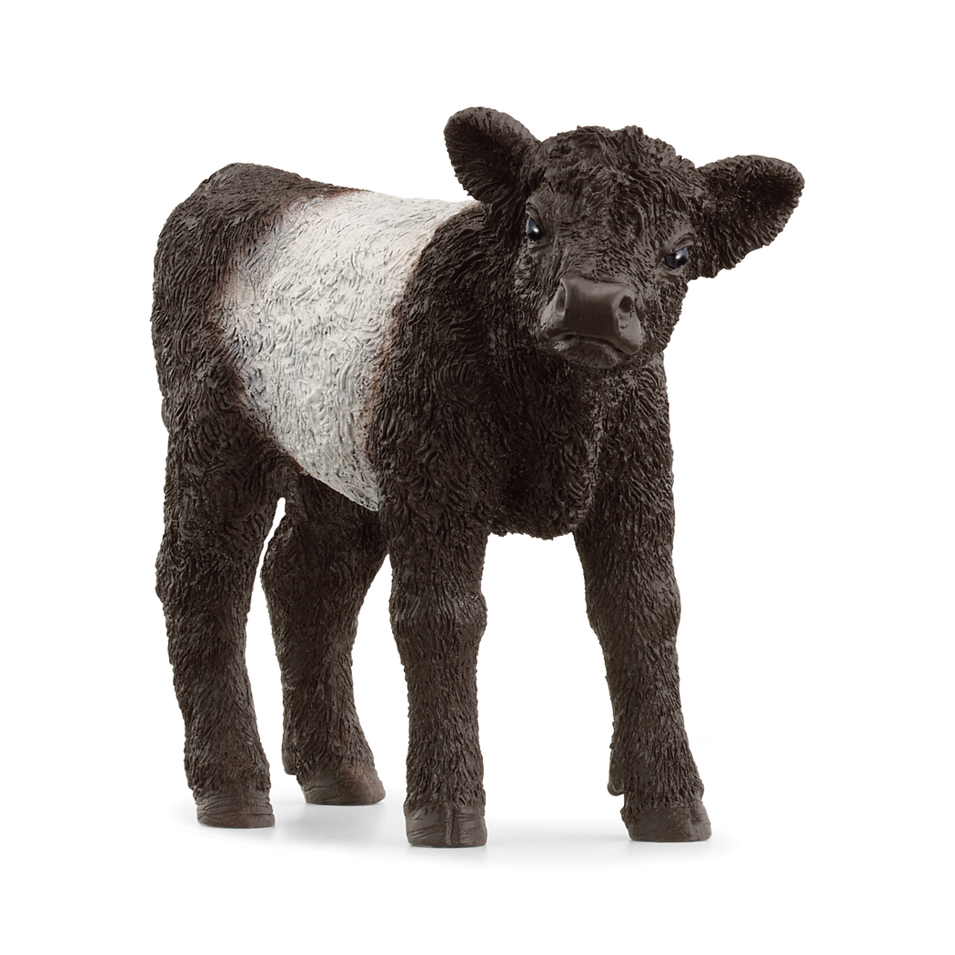 Schleich Galloway Calf - 1