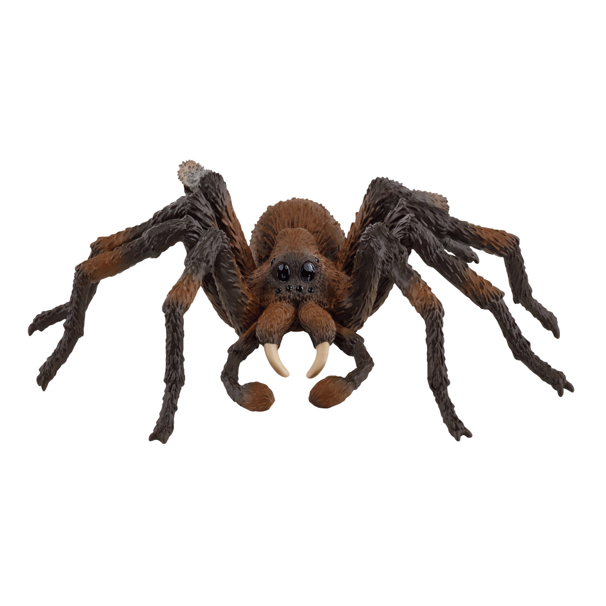 Schleich Wizarding World Aragog