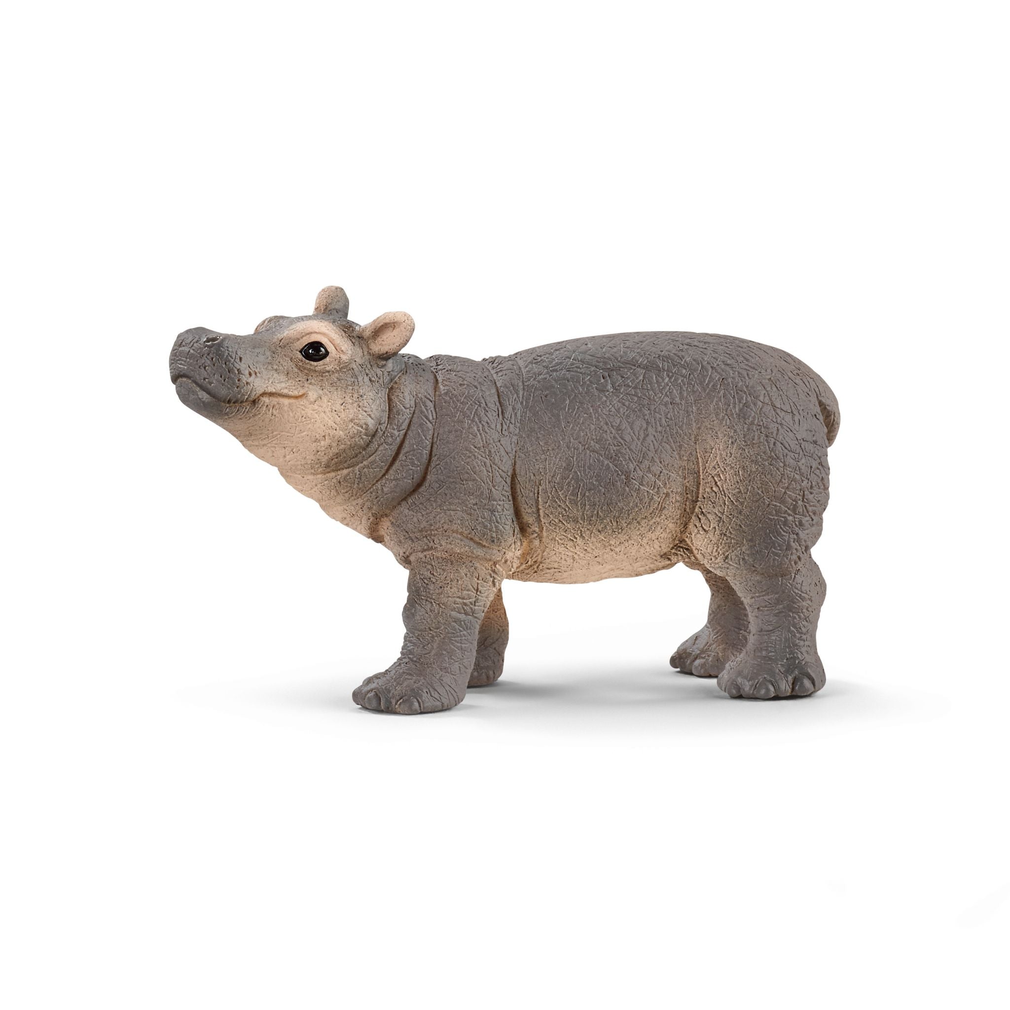 Schleich Baby Hippopotamus