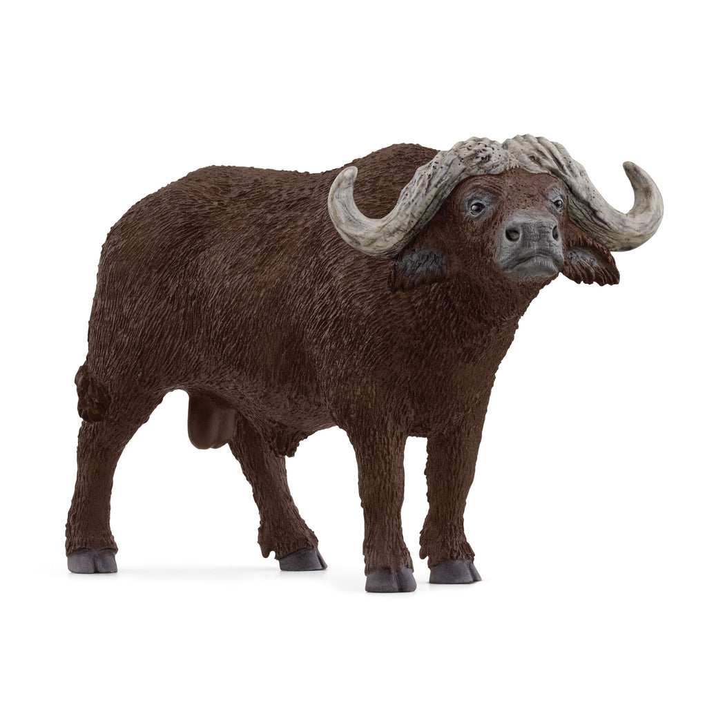 Schleich African Buffalo - 1