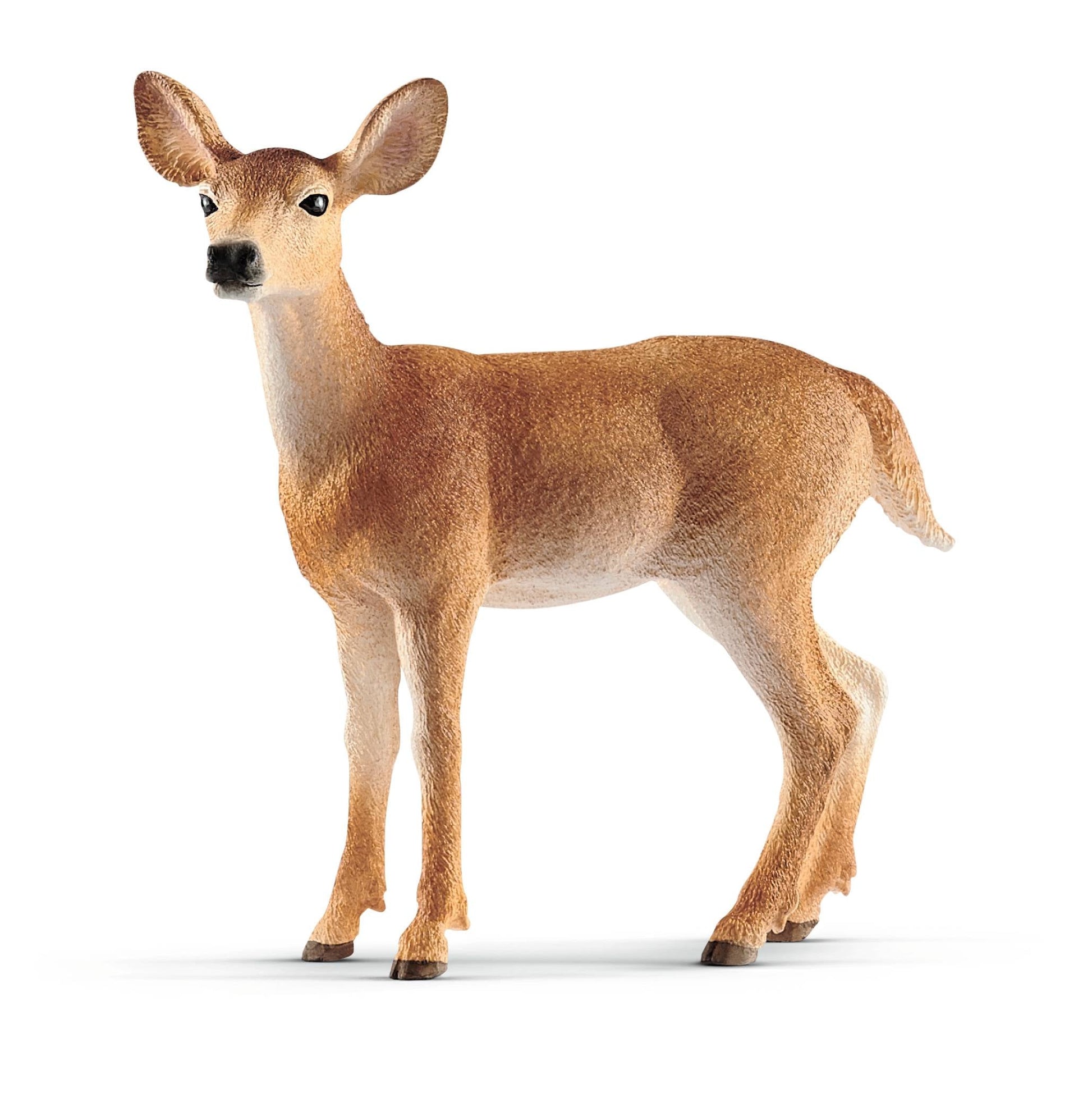 Schleich White Tailed Doe - Toyworld Australia
