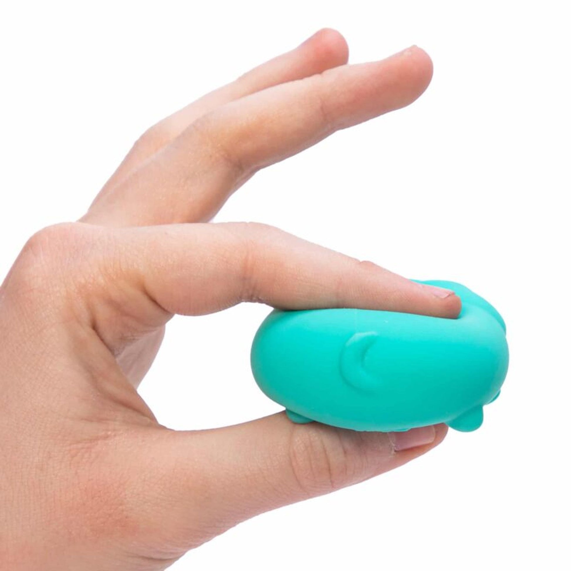 Schylling Teenie NeeDoh Funky Pups Assorted Styles - Toyworld Australia