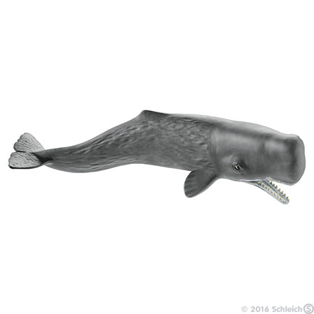 Schleich Sperm Whale