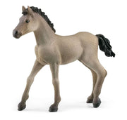 Schleich Criollo Definitivo Foal - Toyworld Australia