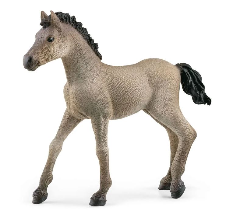 Schleich Criollo Definitivo Foal