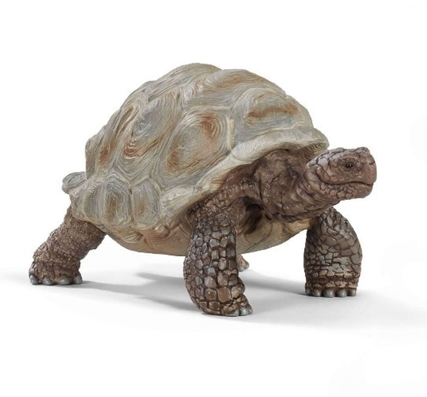 Schleich Giant Tortoise