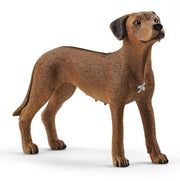 Schleich Rhodesian Ridgeback