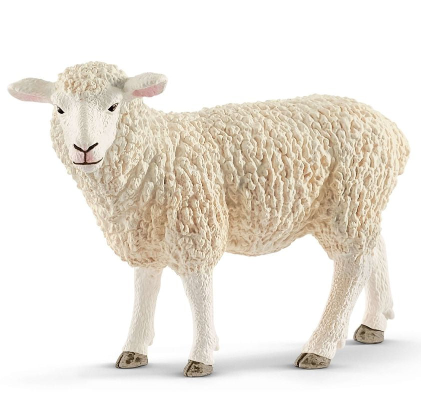 Schleich Sheep - 1