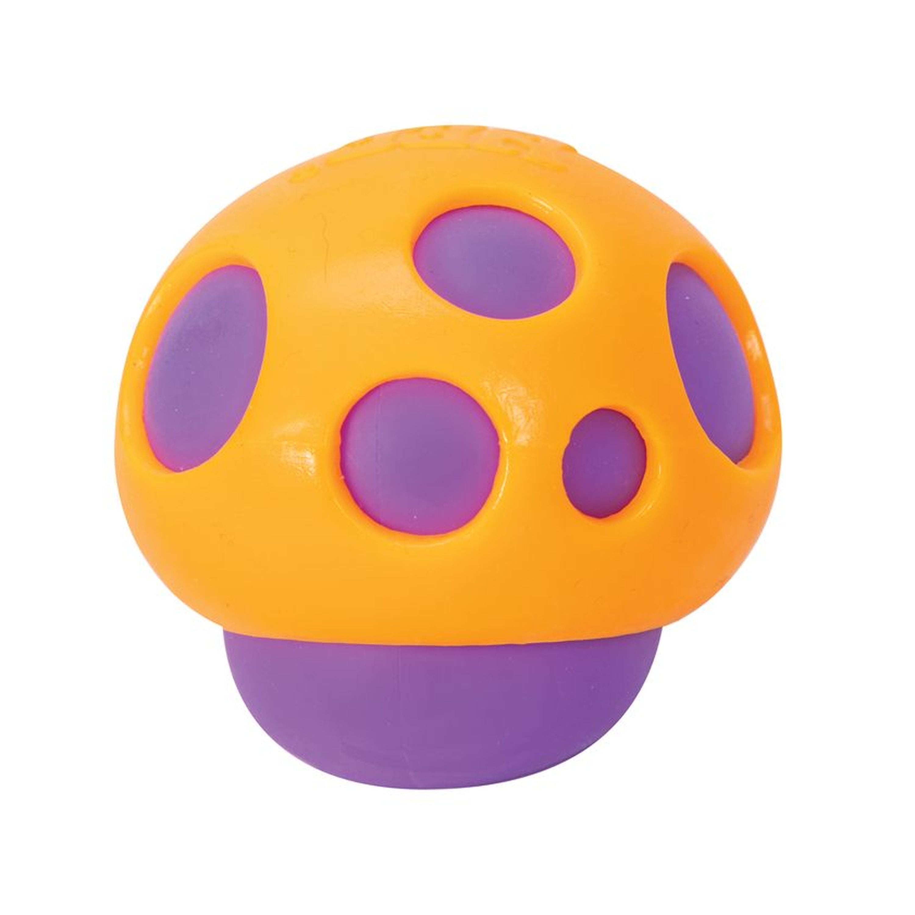 Schylling Groovy Shroom NeeDoh Assorted Styles