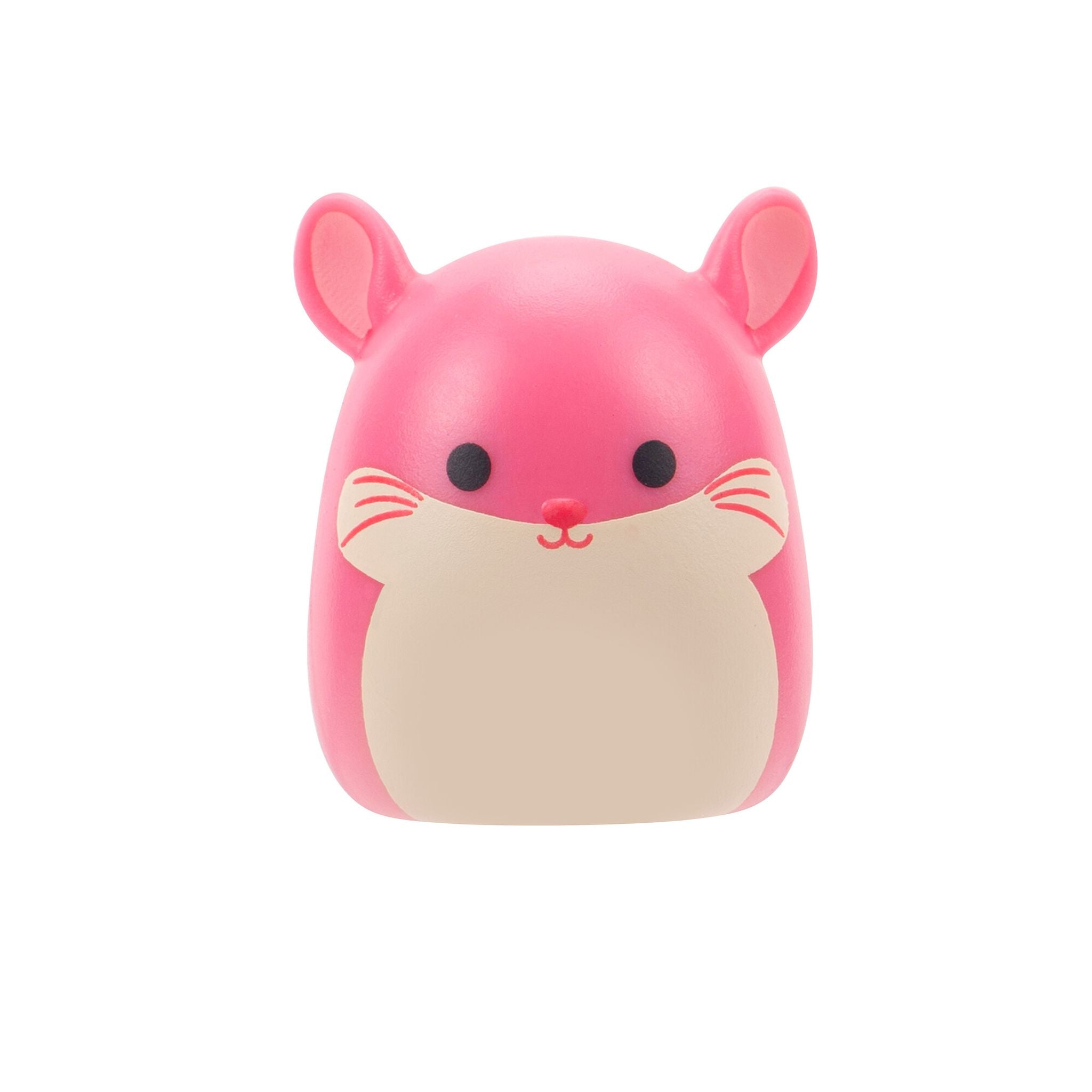 Squishmallows Squish-A-Longs Blind Bag