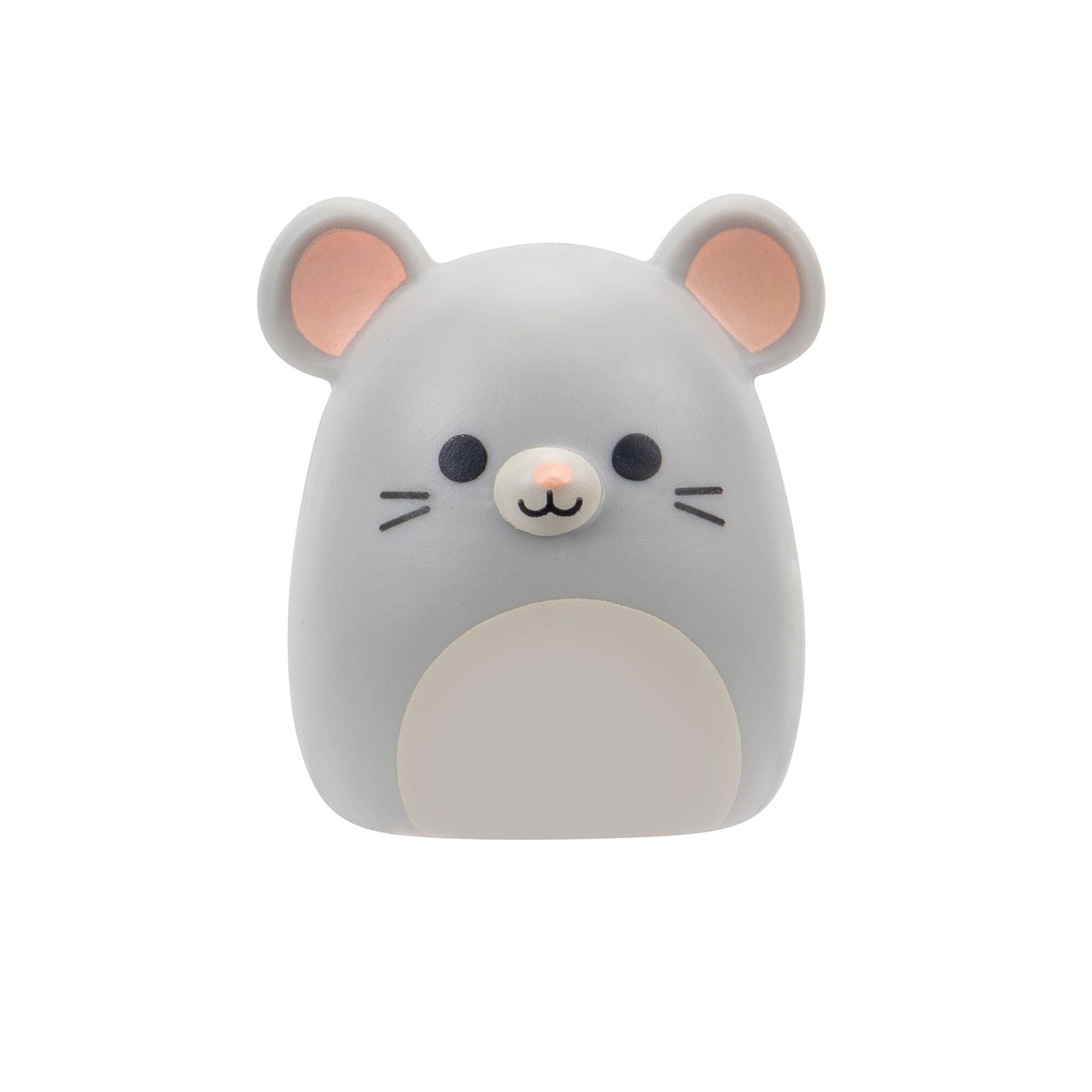 Squishmallows Squish-A-Longs Blind Bag