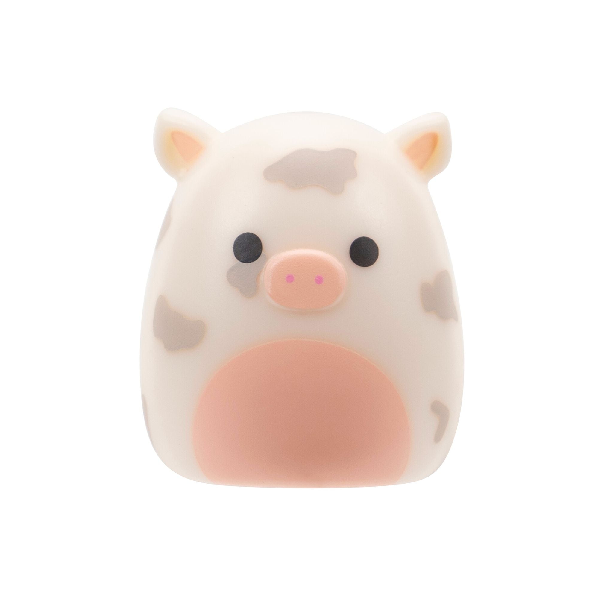 Squishmallows Squish-A-Longs Blind Bag