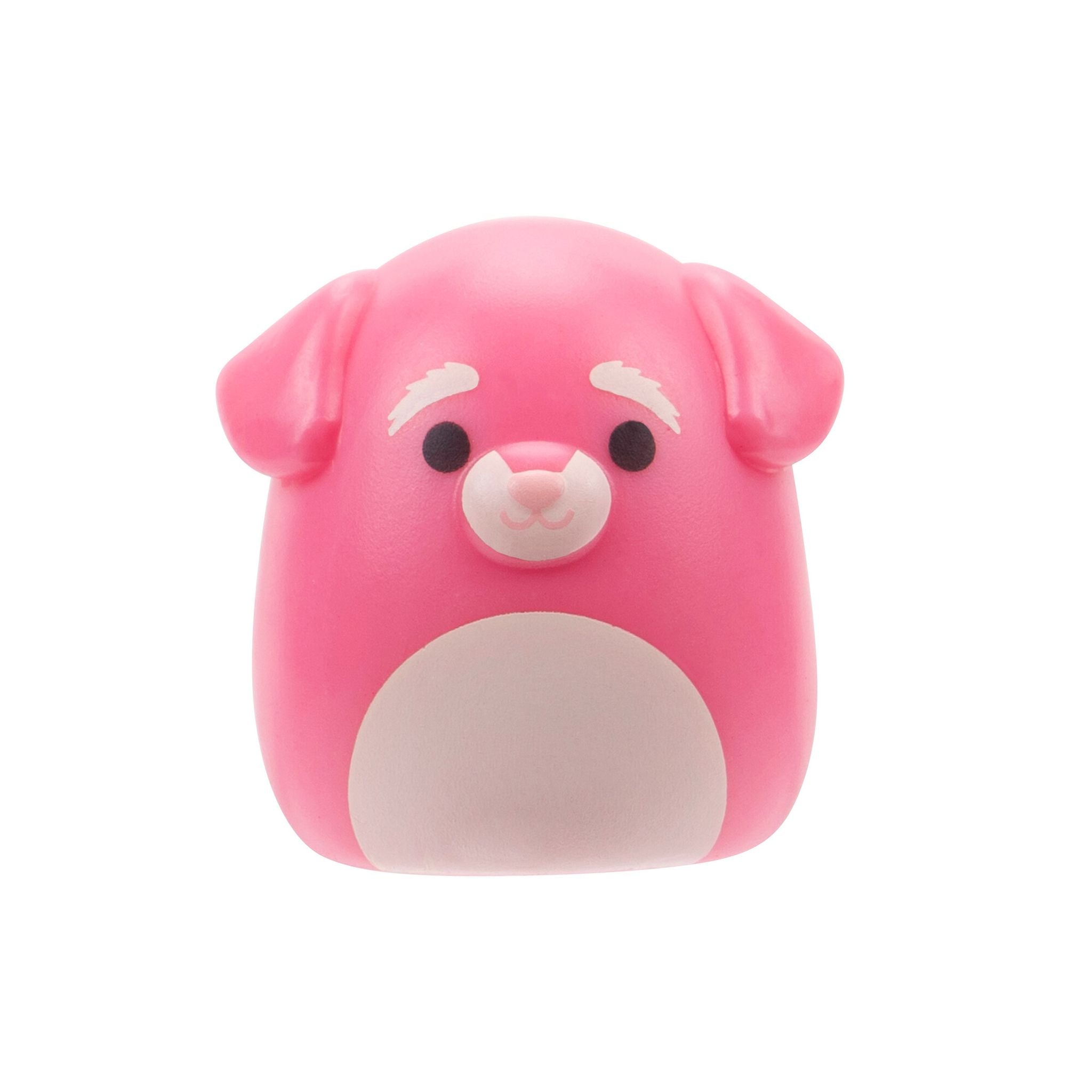 Squishmallows Squish-A-Longs Blind Bag