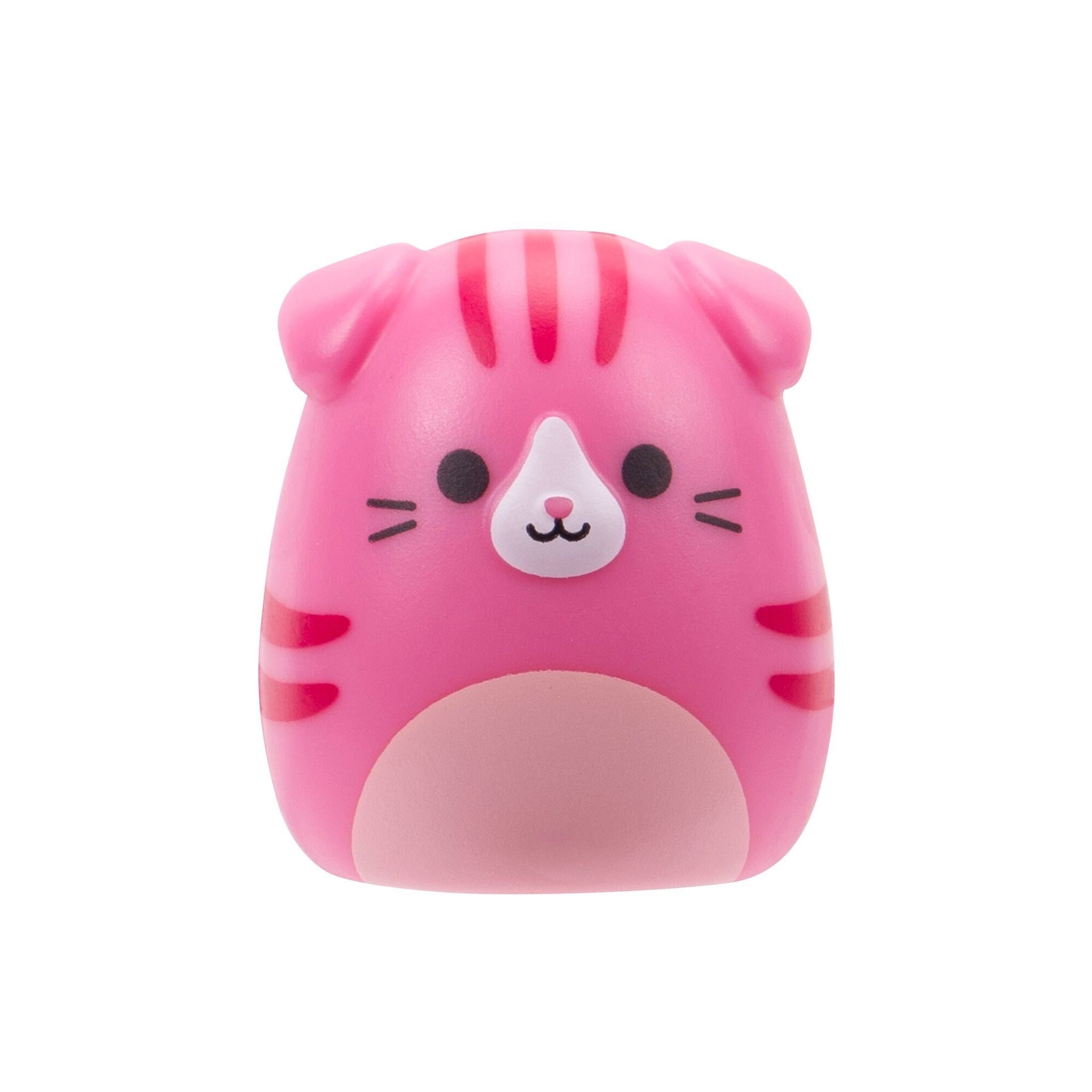 Squishmallows Squish-A-Longs Blind Bag