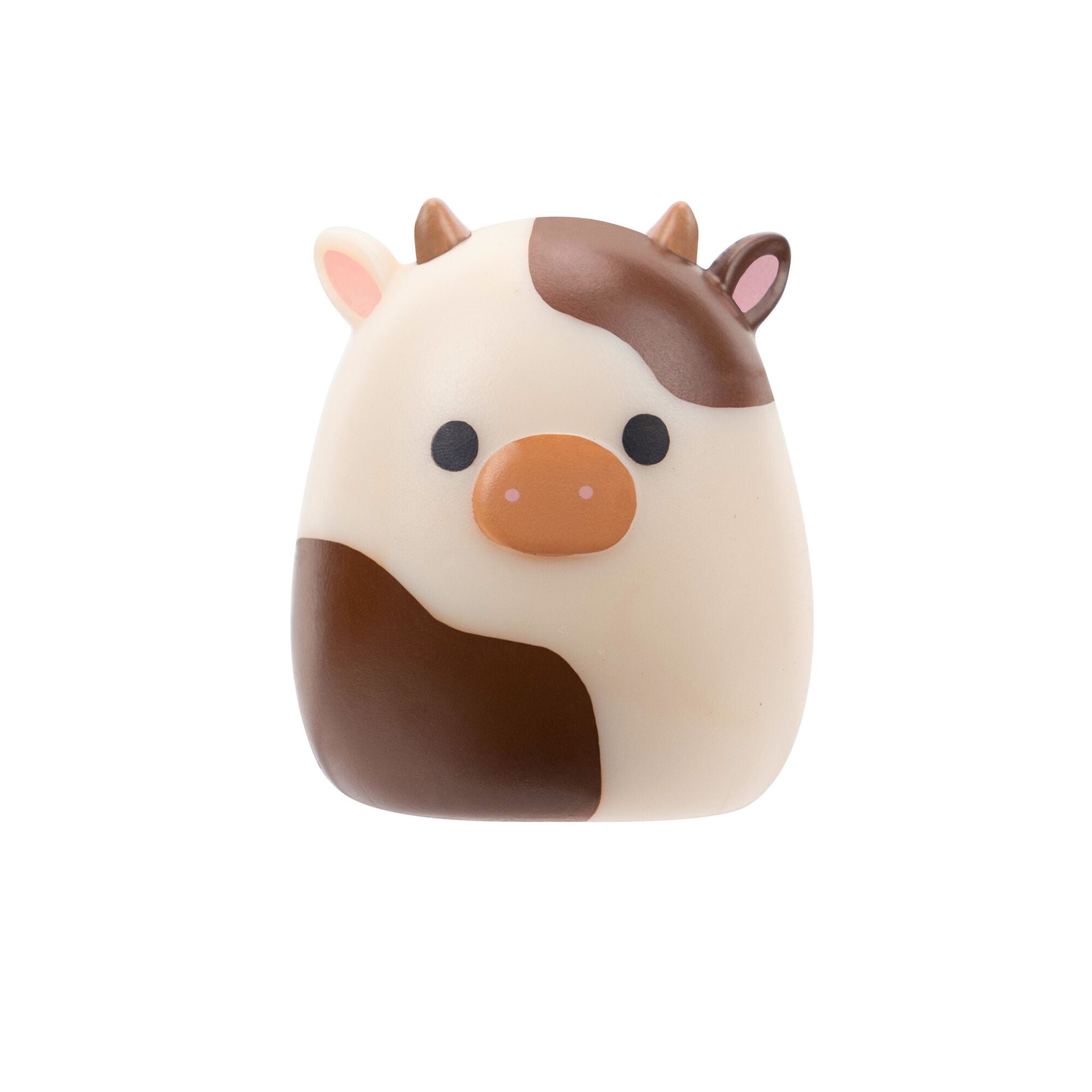 Squishmallows Squish-A-Longs Blind Bag