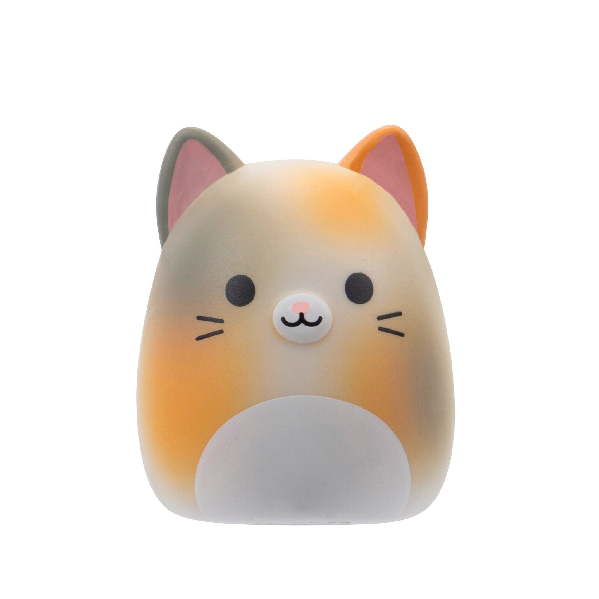 Squishmallows Squish-A-Longs Blind Bag