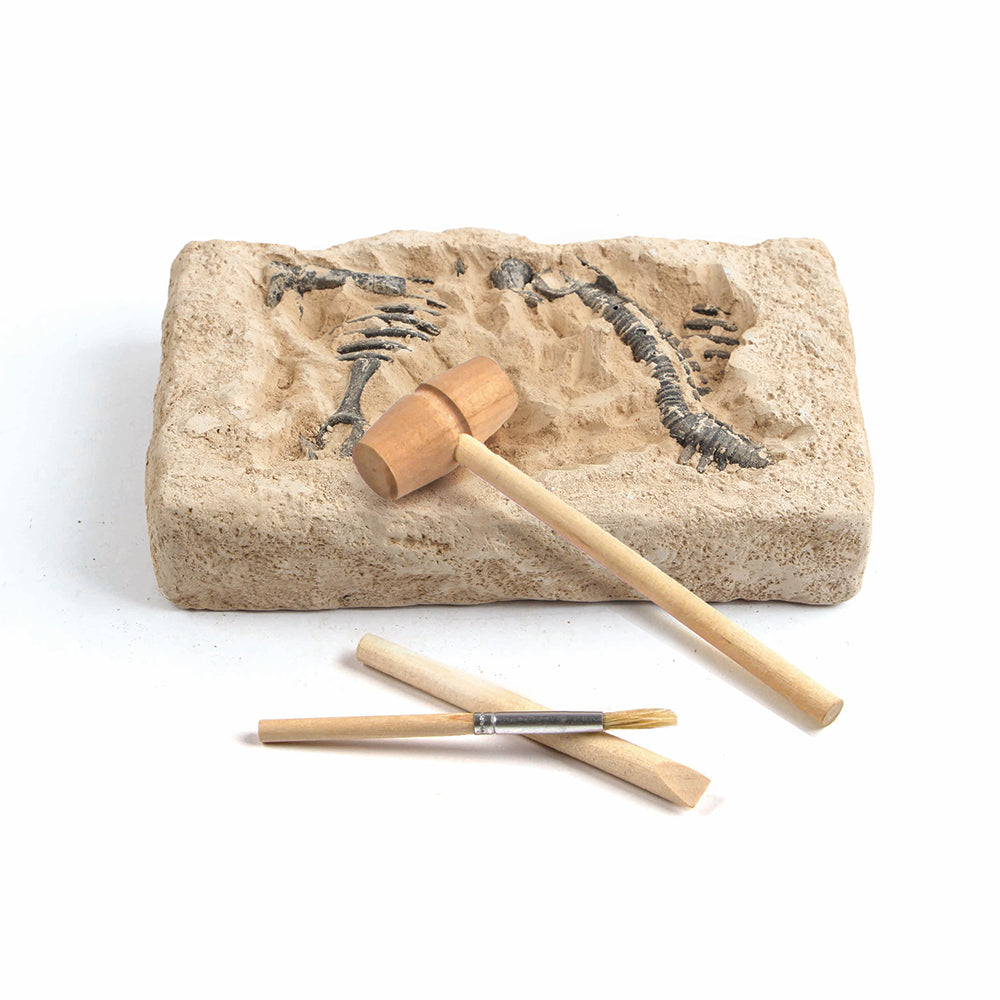 Dig & Discover Dinosaur Excavation Kit Triceratops