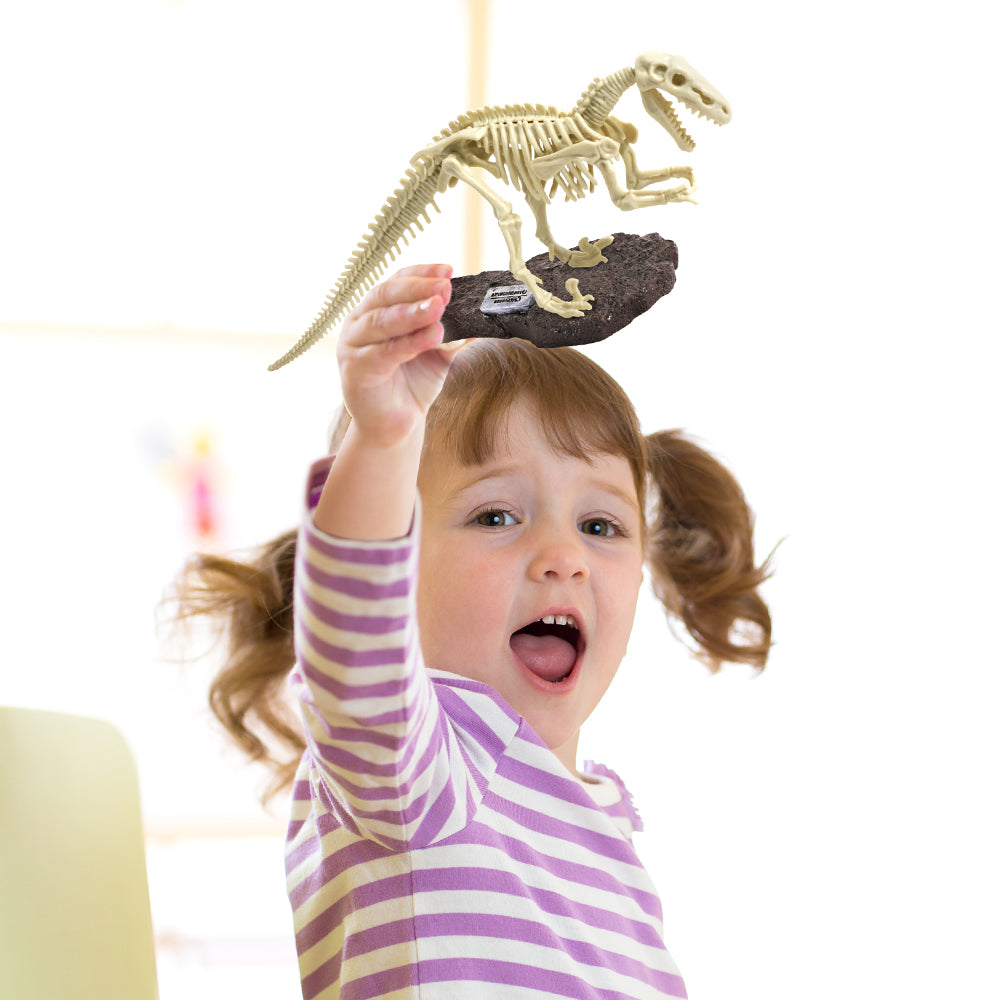 Dig & Discover Dinosaur Excavation Kit Assorted