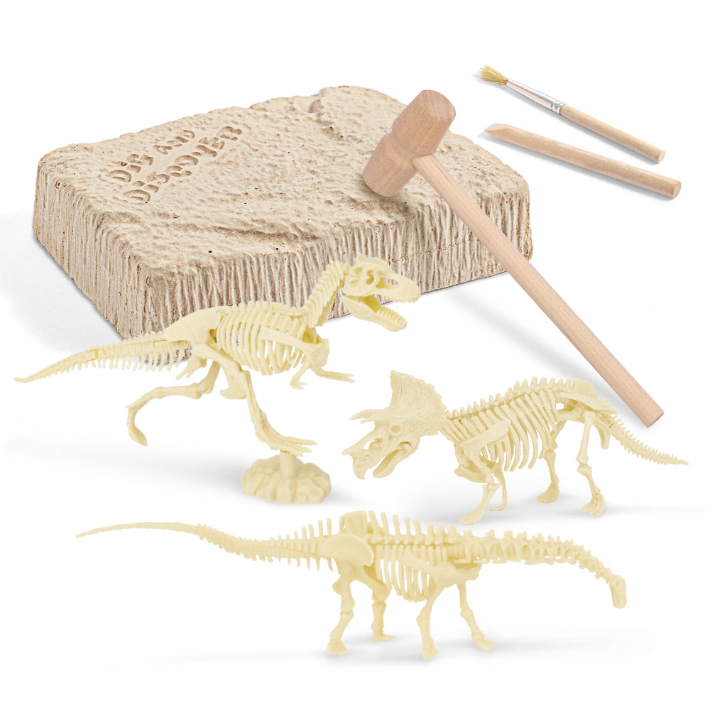 Mini Dig Glow-In-The-Dark Dino Skeleton Assorted Styles