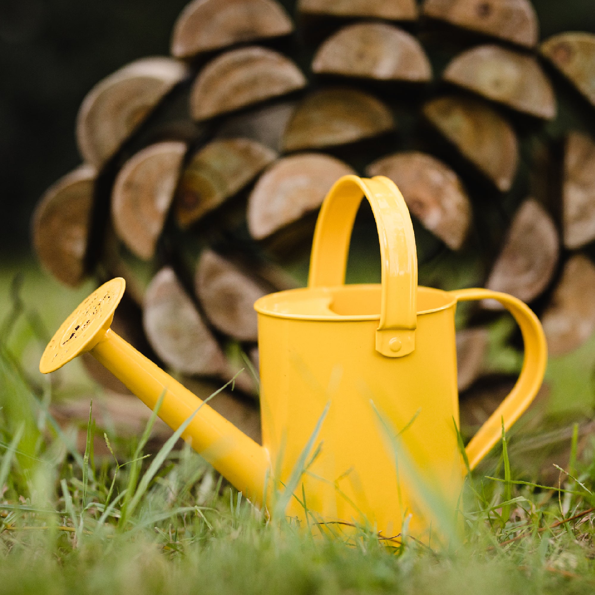 Stanley Jr. Watering Can