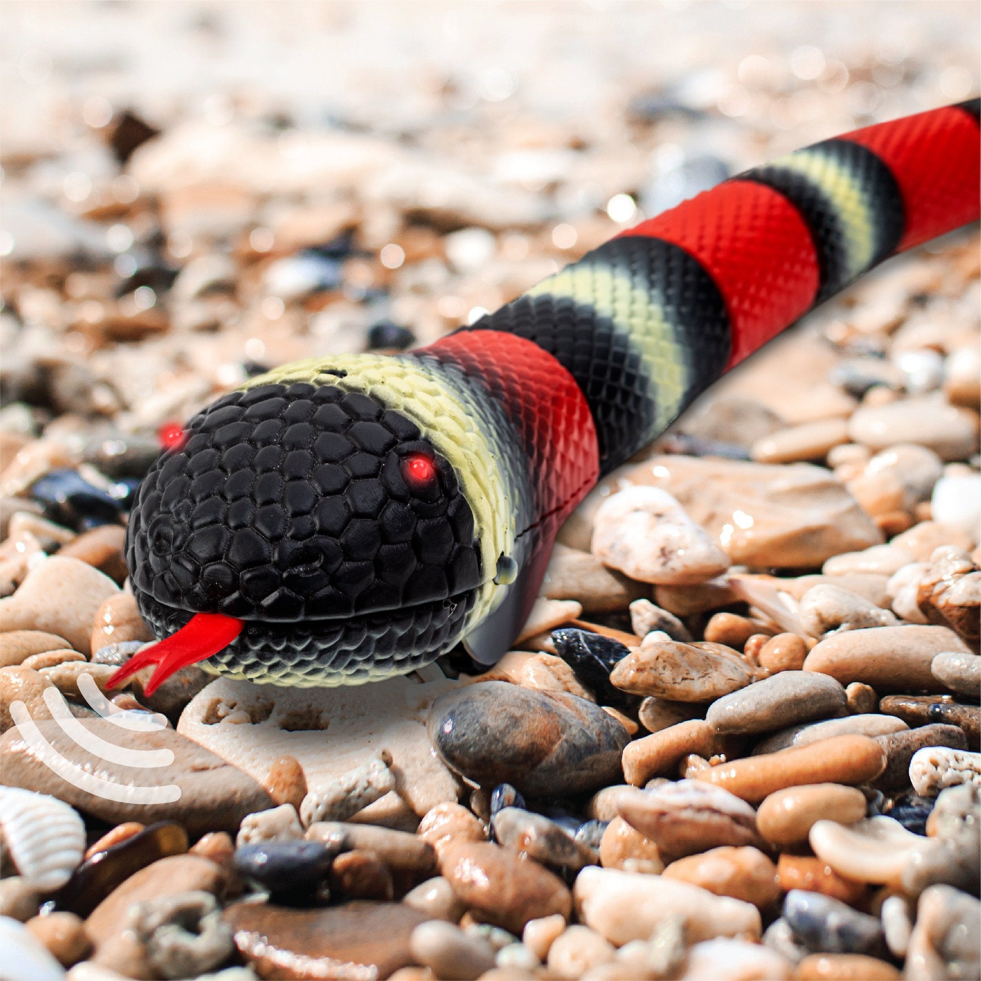 Discovery Kingsnake Remote Control Pet Creature - Toyworld Australia