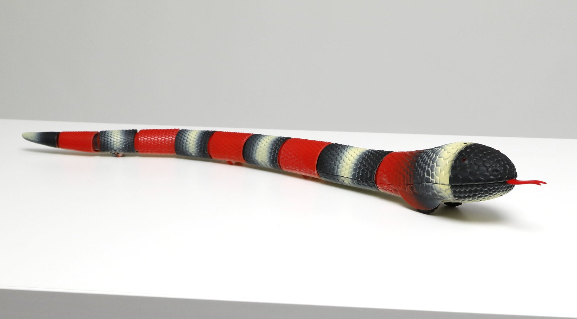 Discovery Kingsnake Remote Control Pet Creature - Toyworld Australia