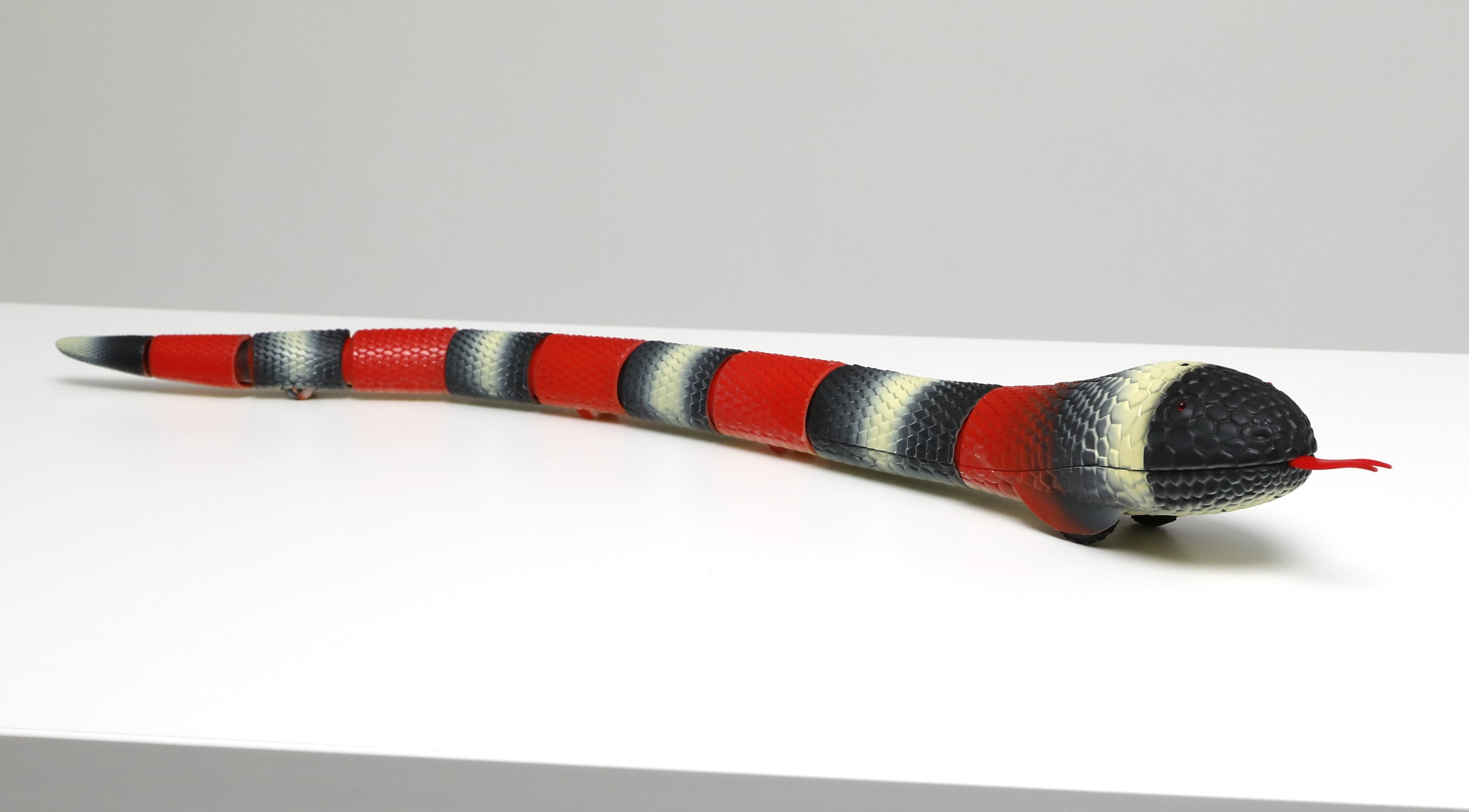 Discovery Kingsnake Remote Control Pet Creature - Toyworld Australia