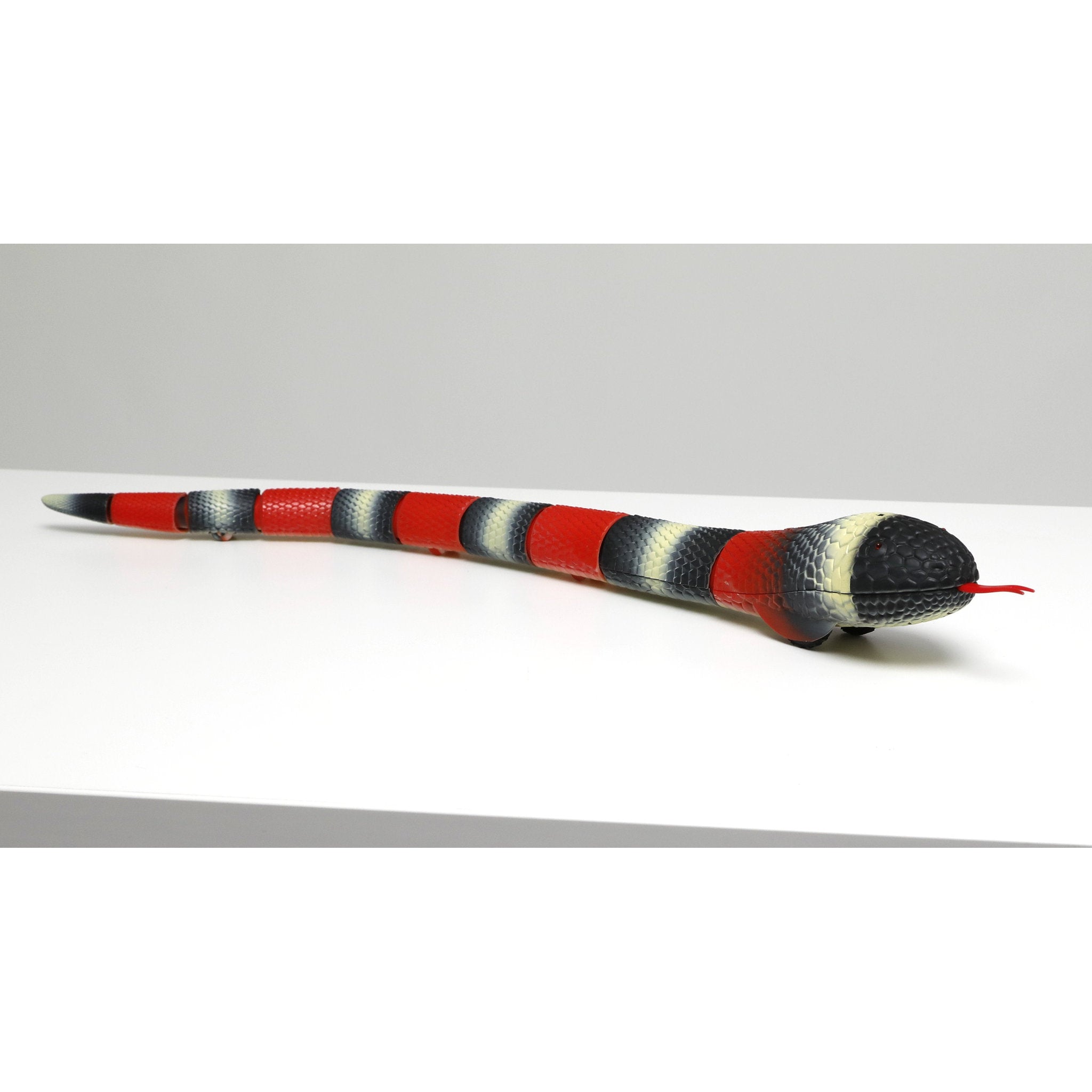 Discovery Kingsnake Remote Control Pet Creature