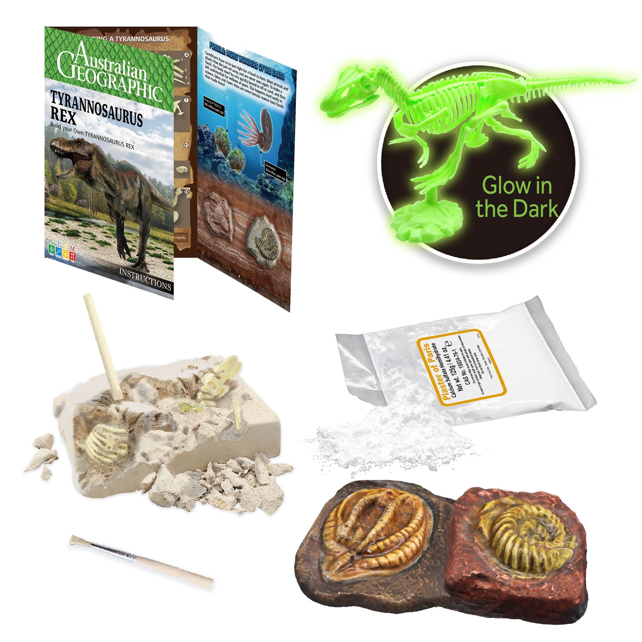 Australian Geographic Build Your Own Tyrannosaurus Rex