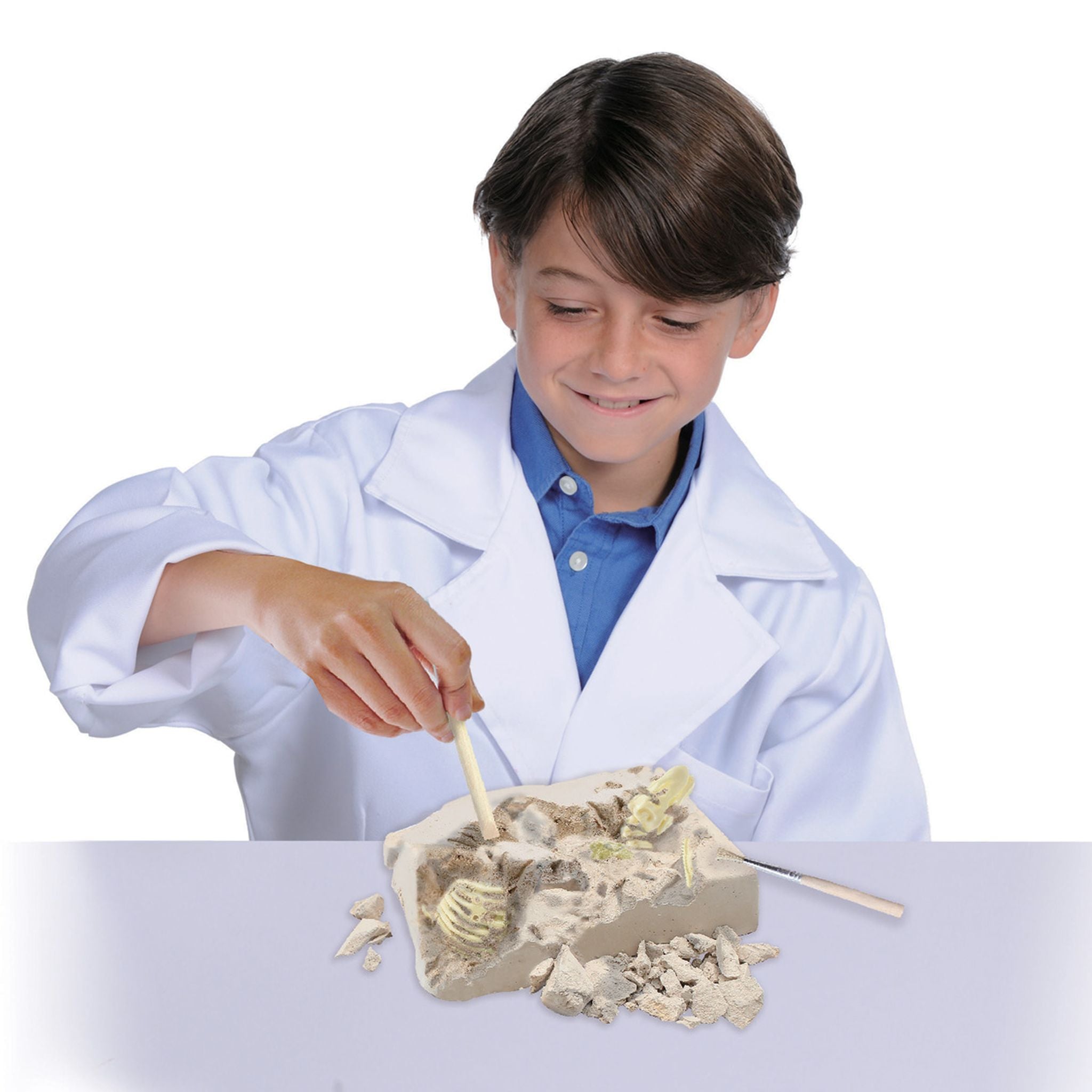 Australian Geographic Build Your Own Tyrannosaurus Rex