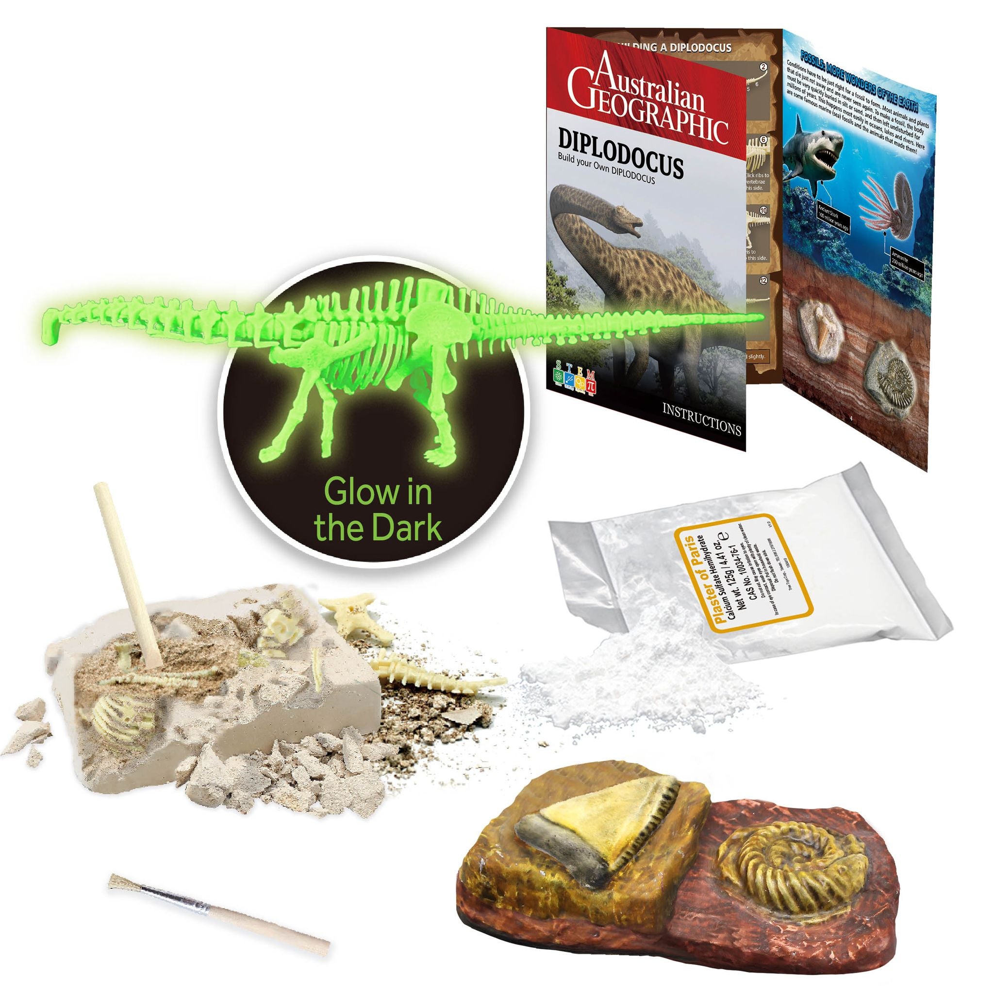 Australian Geographic Build Your Own Diplodocus