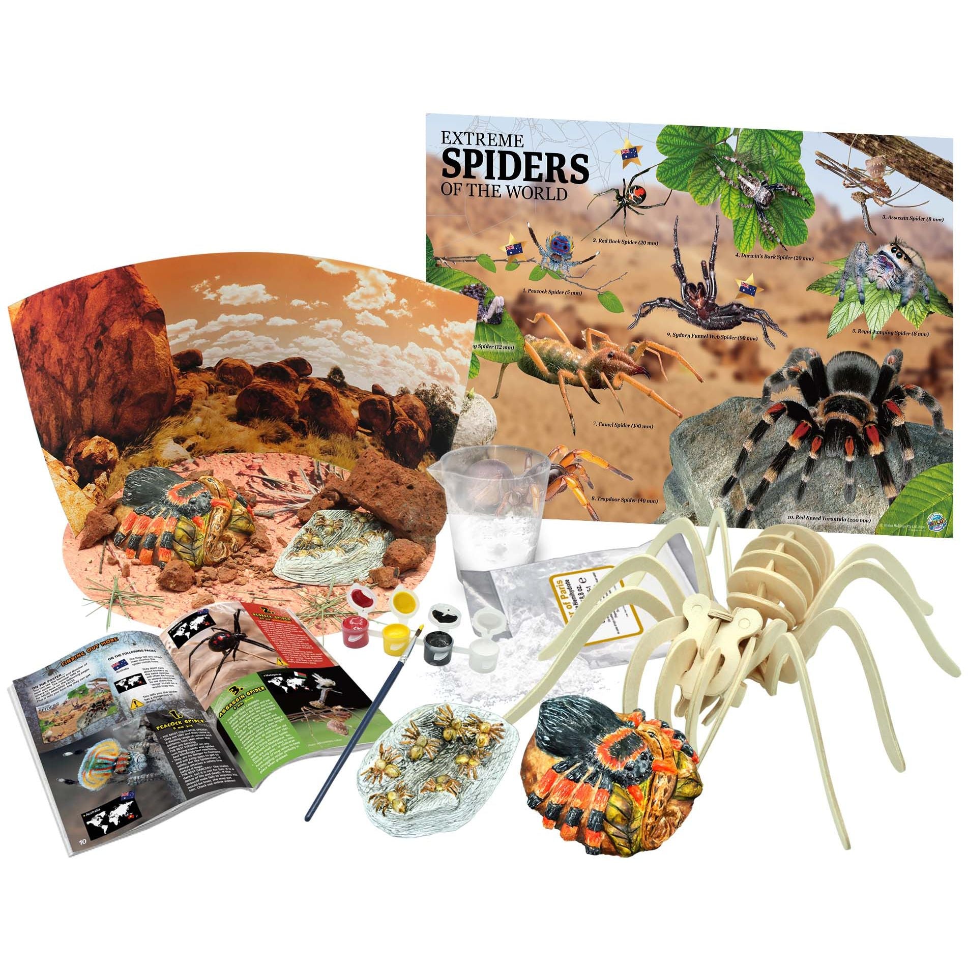 Australian Geographic Australian Geographic; Extreme Spiders Of The World Model Kit