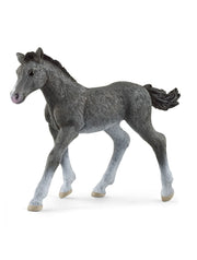 Schleich Trakehner Foal - Toyworld Australia
