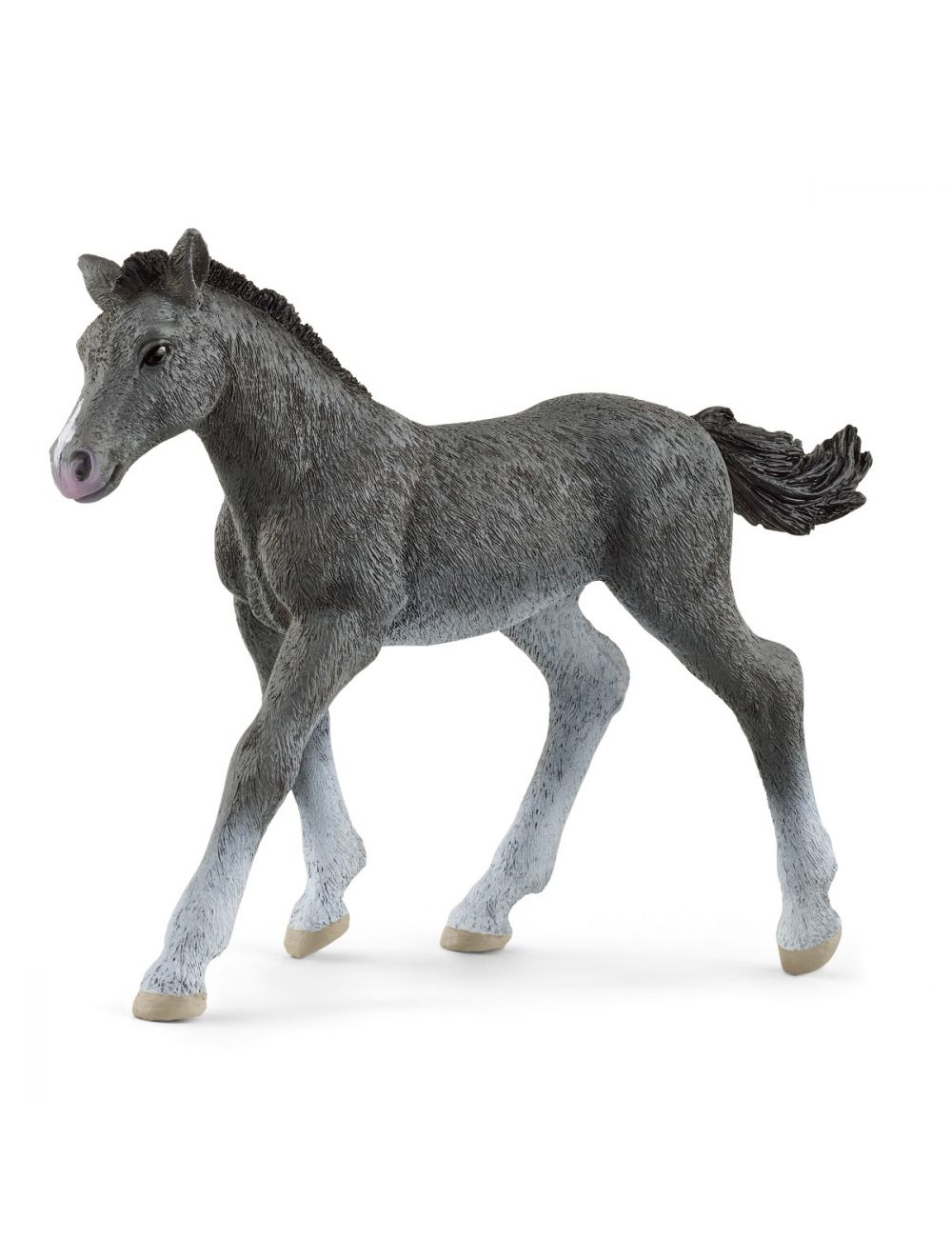 Schleich Trakehner Foal - Toyworld Australia