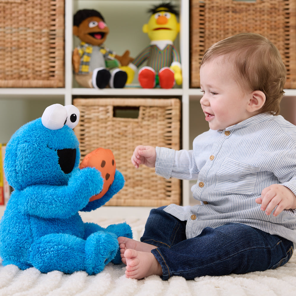 Sesame Street Animated Peek-A-Boo Cookie Monster