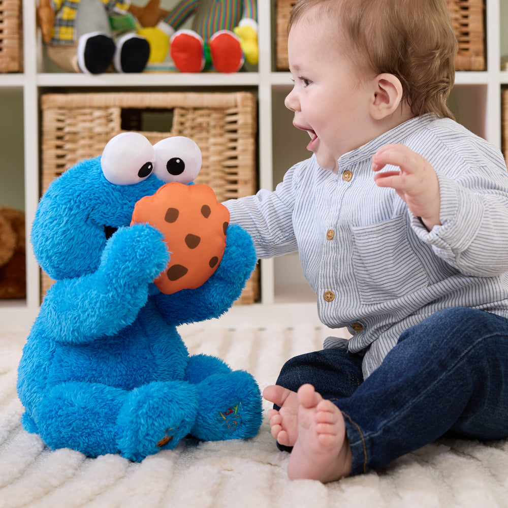Sesame Street Animated Peek-A-Boo Cookie Monster