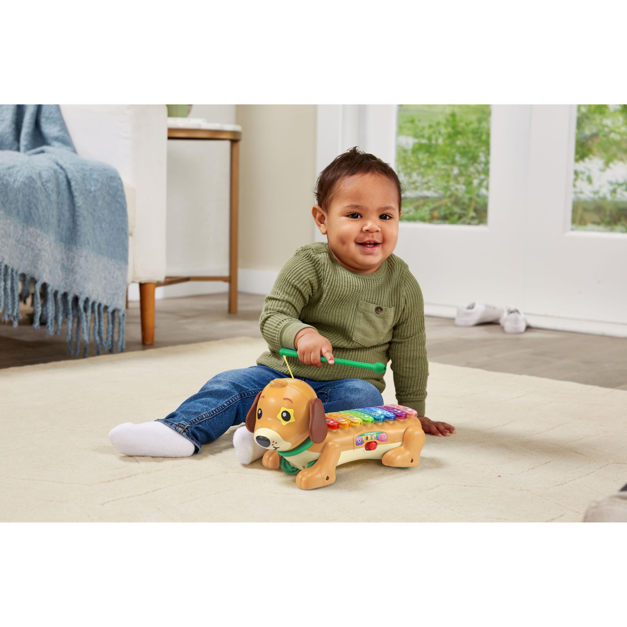 VTech Zoo Jamz Doggy Xylophone