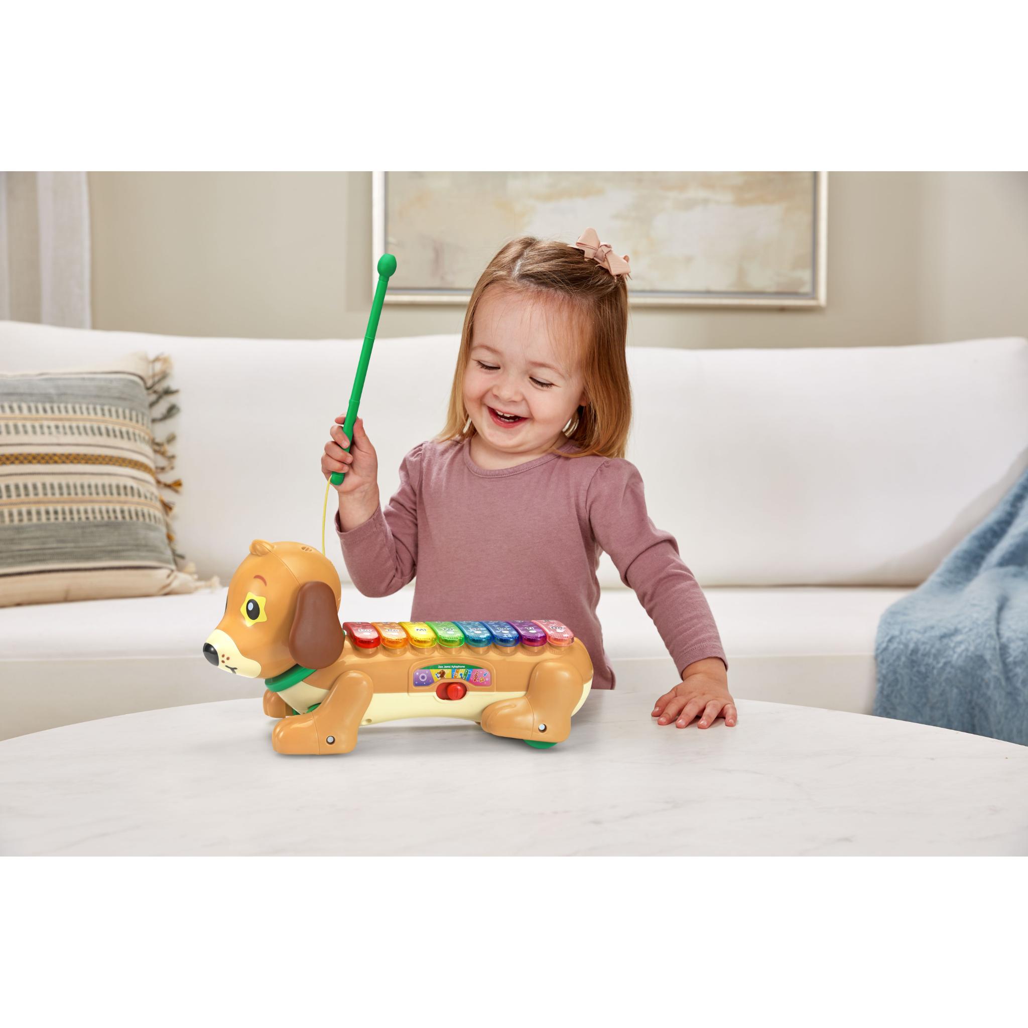 VTech Zoo Jamz Doggy Xylophone