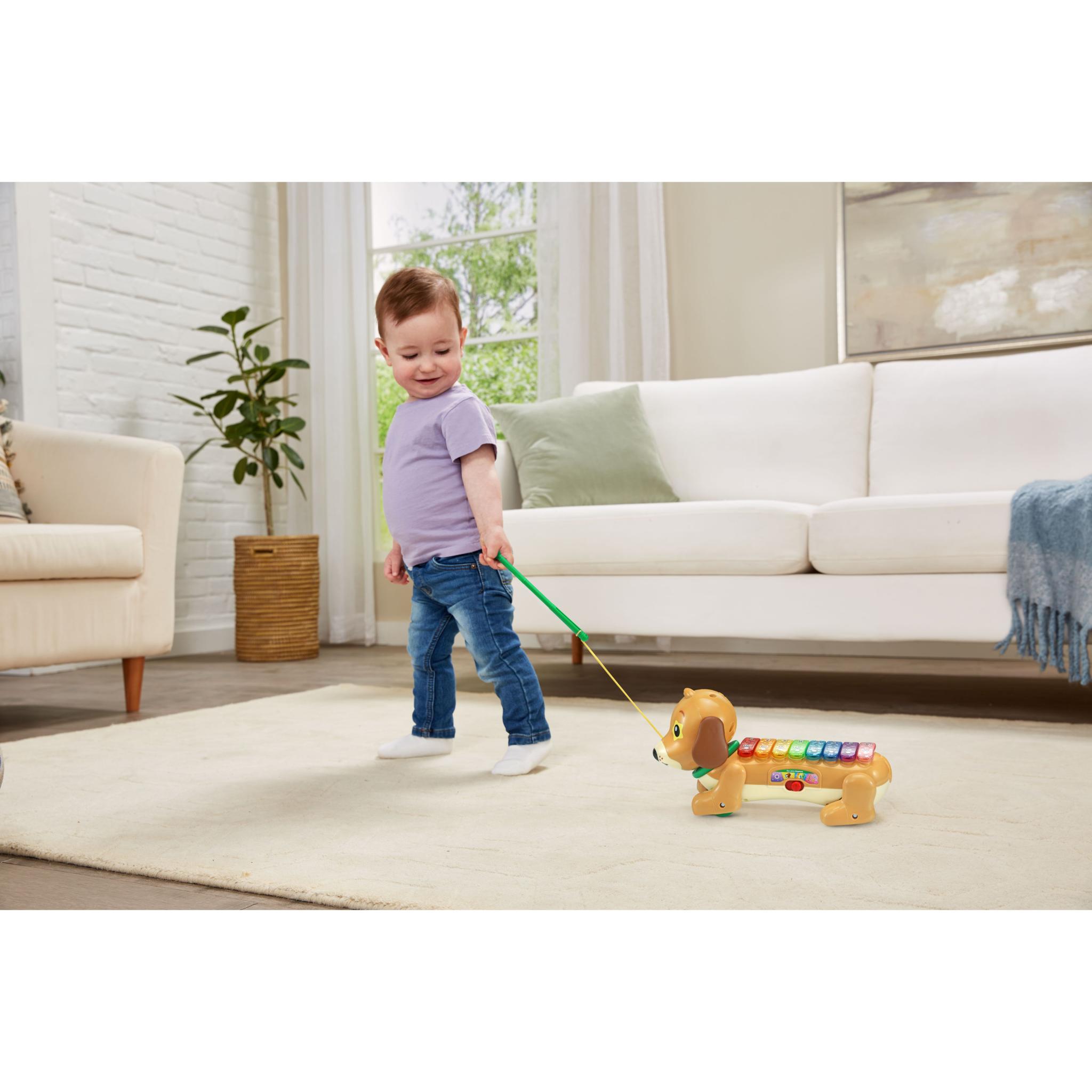 VTech Zoo Jamz Doggy Xylophone