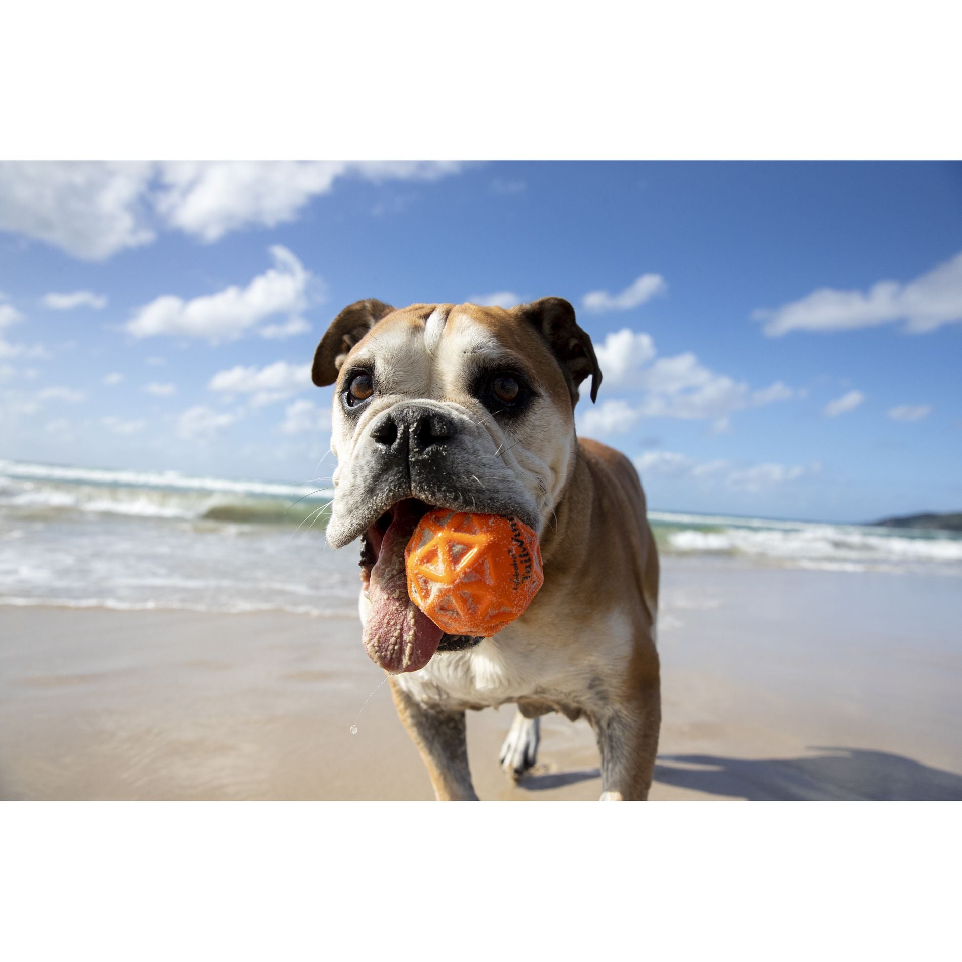 Waboba Woofpack Howl Yeah 3 Pack Retrieval Dog Toys