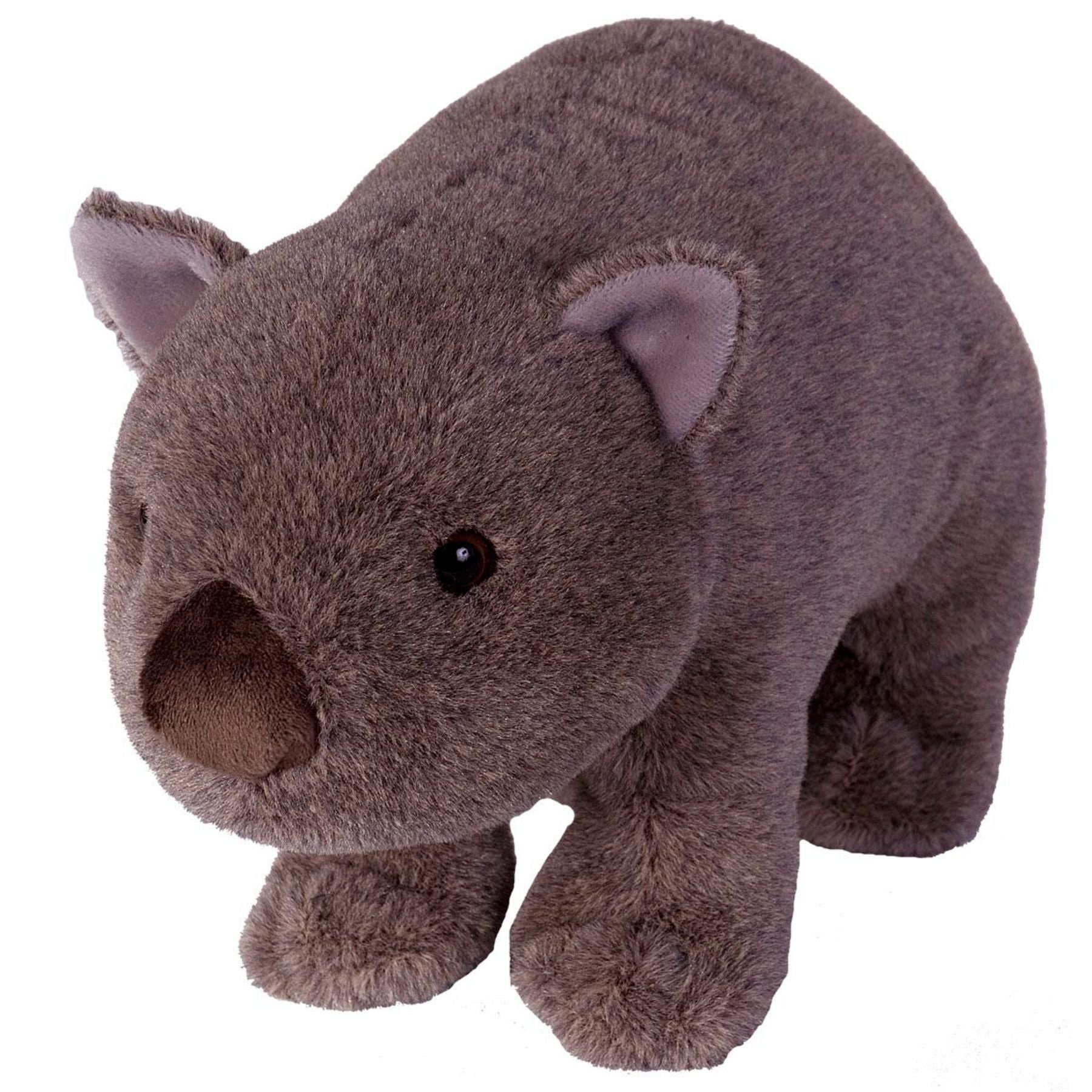 Wild Republic Cuddlekins Wombat 12 Inch - Toyworld Australia