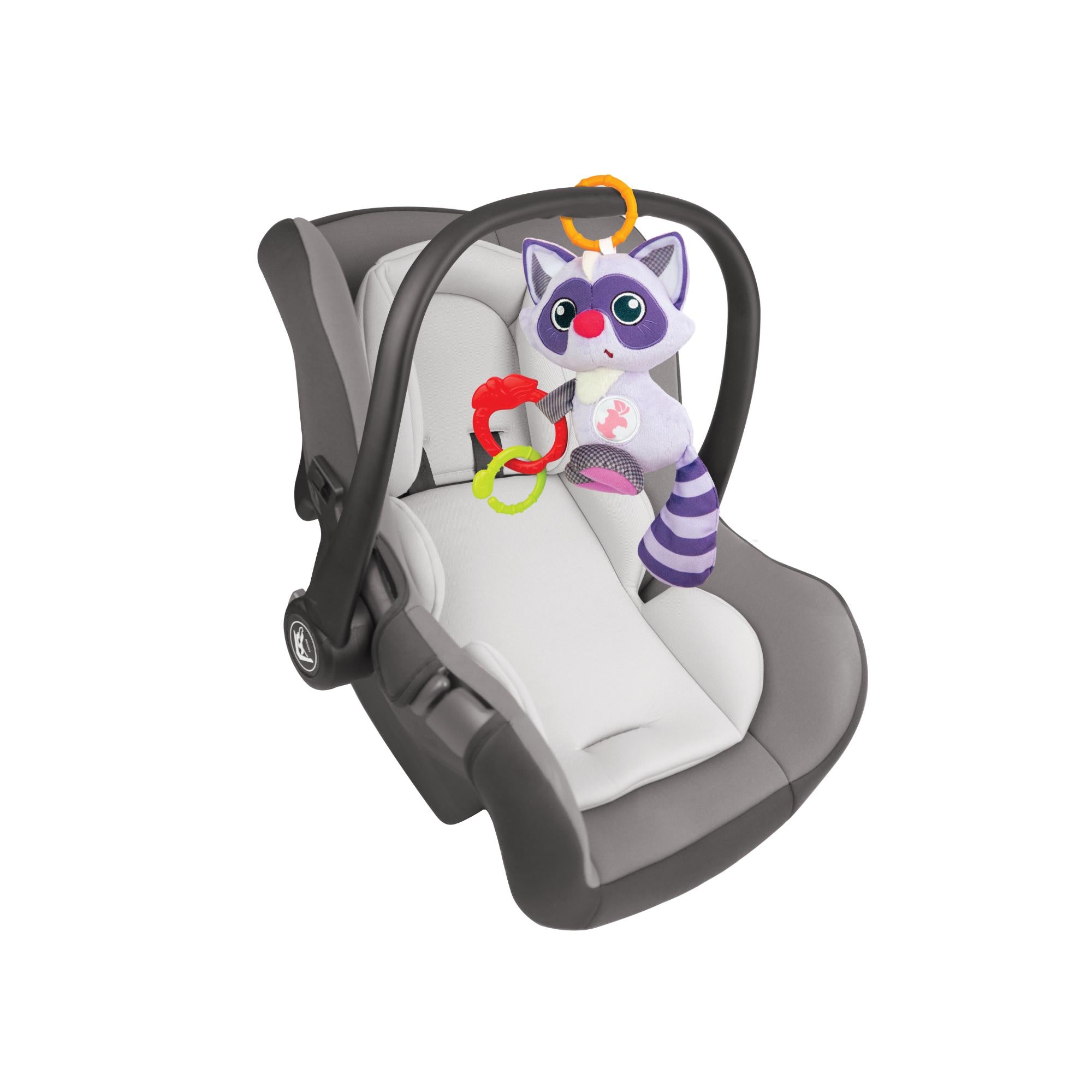 Winfun Swing And Shake Pal - Raccoon