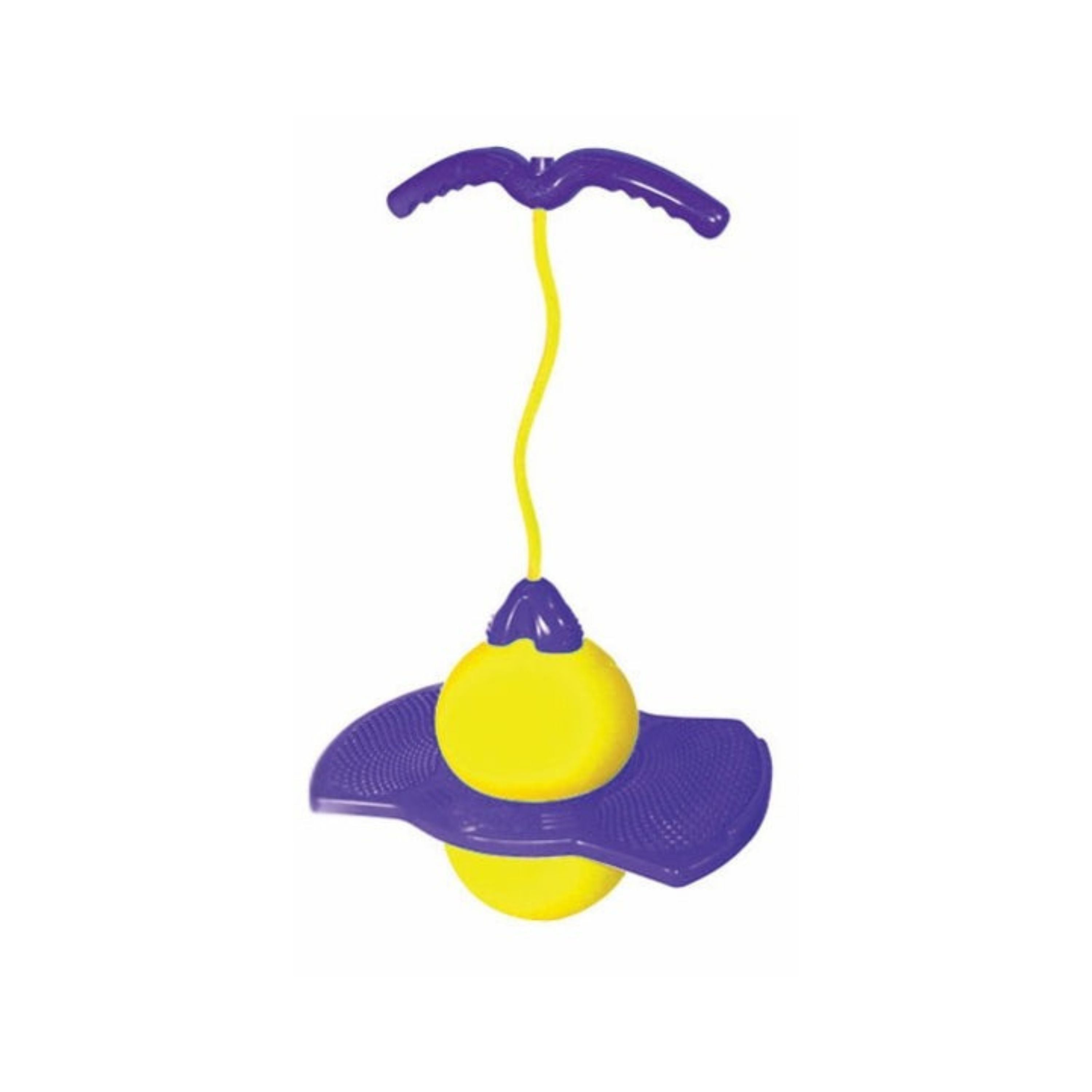 Zoingo Boingo Pogo Assorted Styles