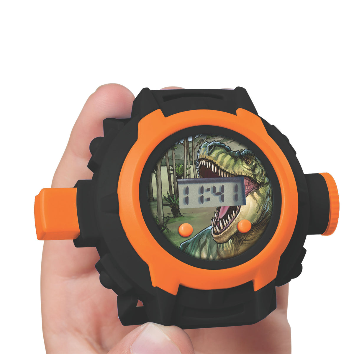 Dinosaur Projector Watch