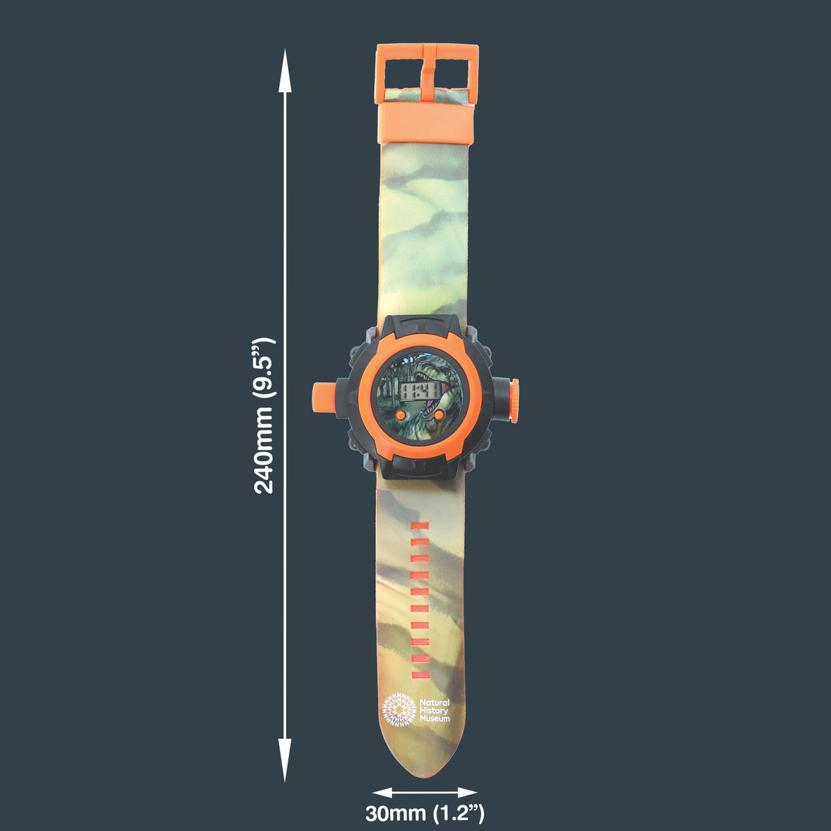 Dinosaur Projector Watch