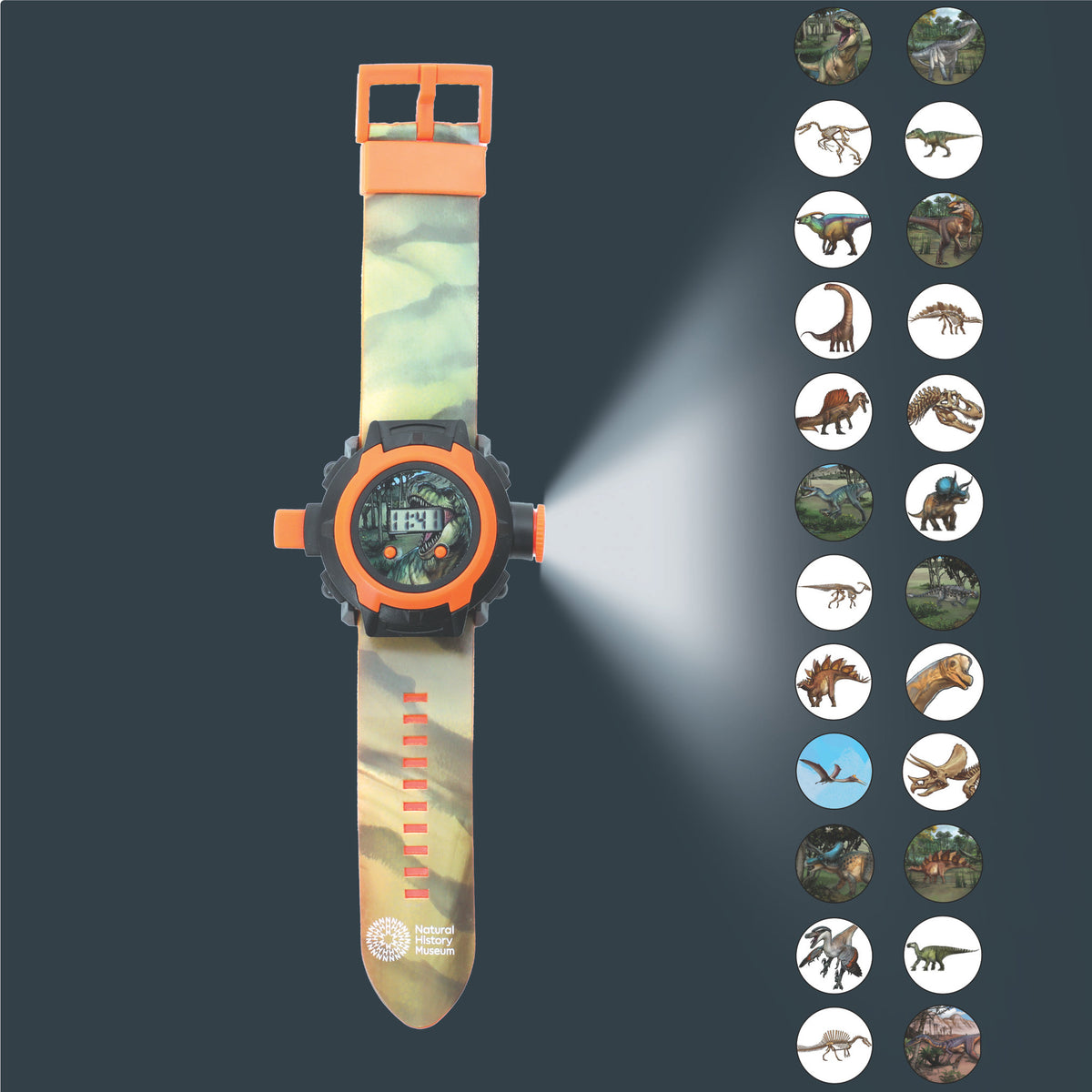 Dinosaur Projector Watch