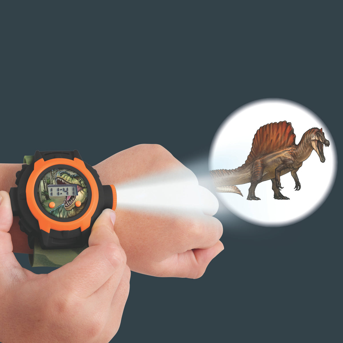 Dinosaur Projector Watch